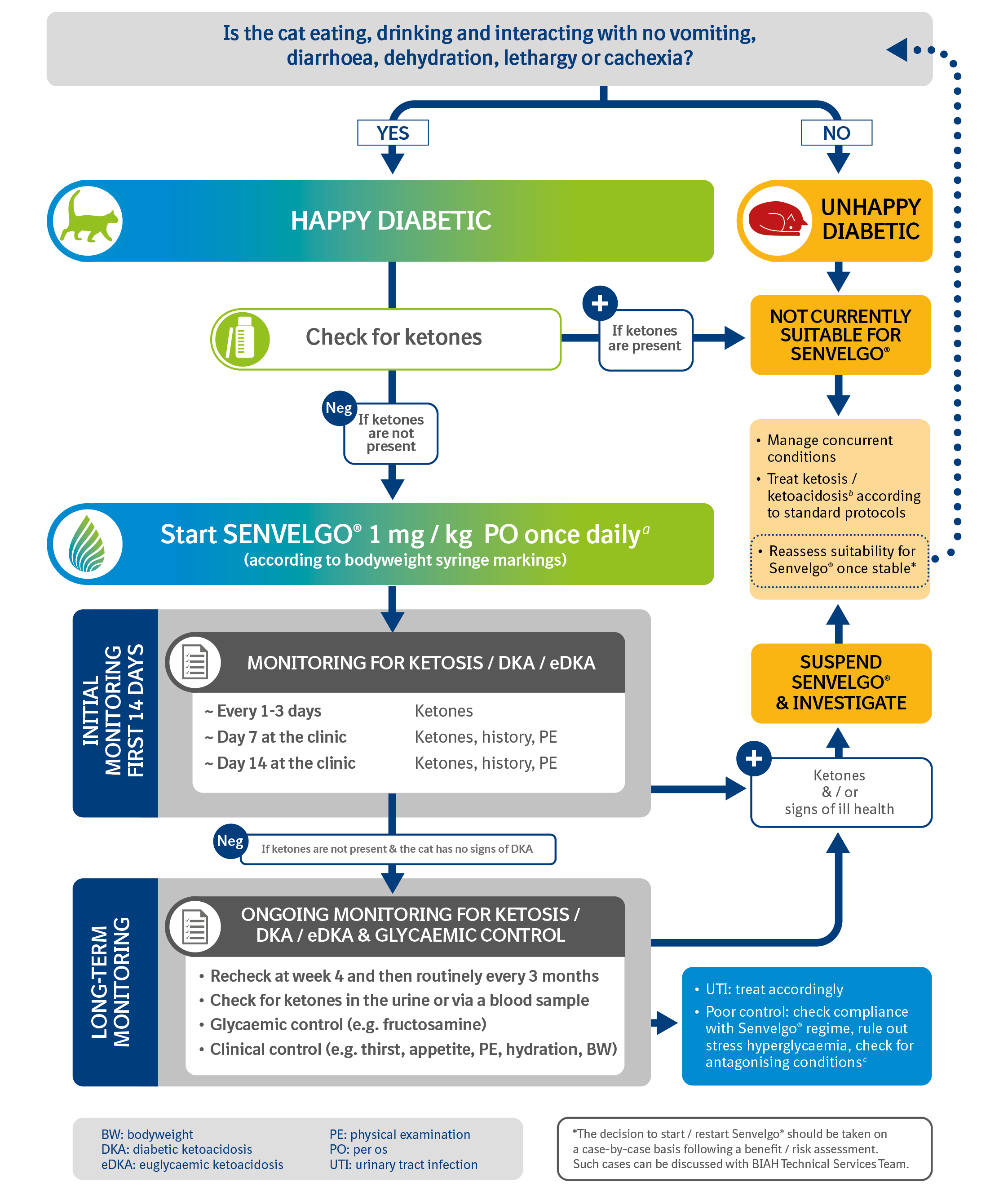 Diabetes management flow chart